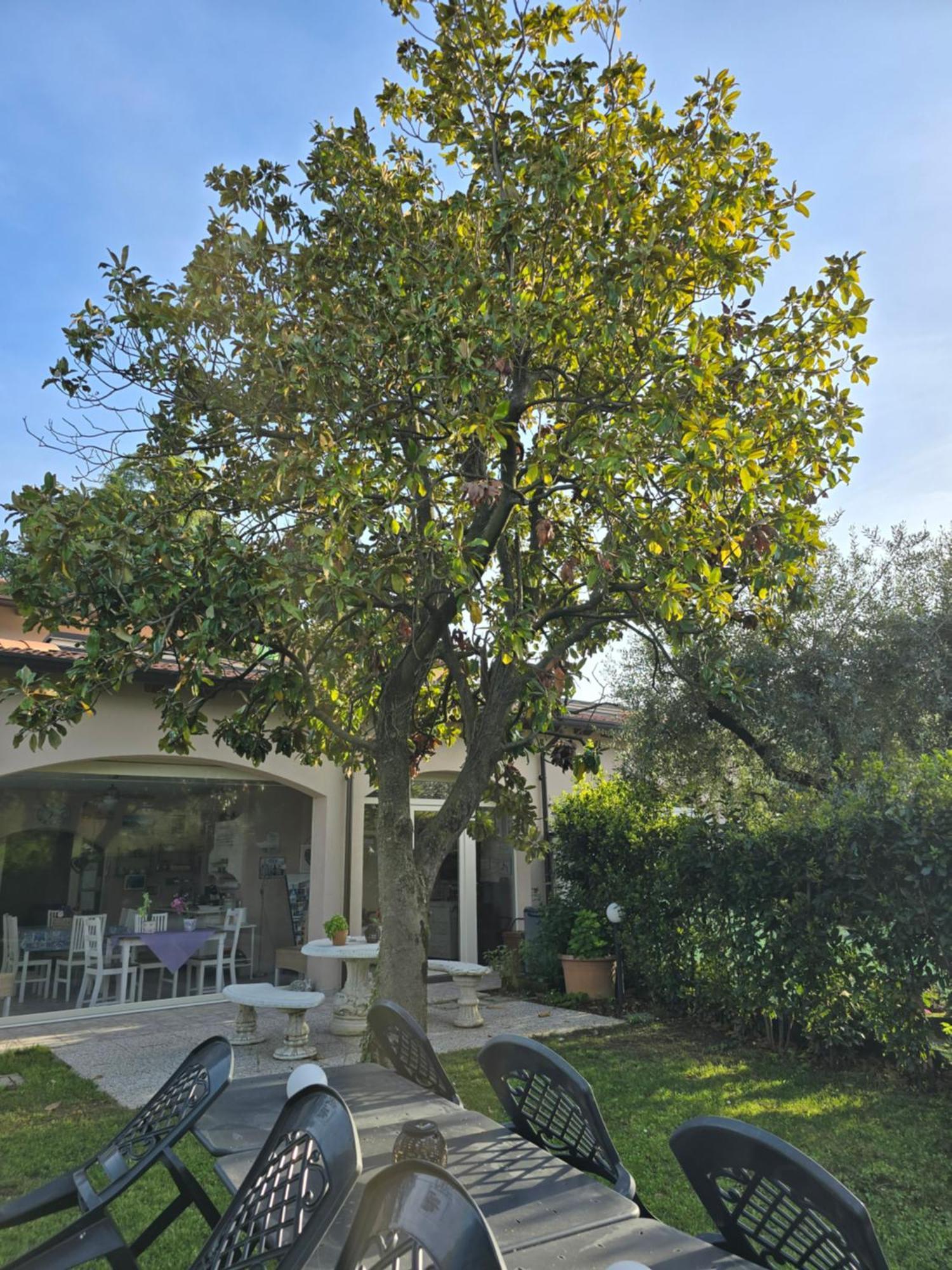 Villa Indipendente A Pochi Passi Dal Lago ซานเฟลีเช เดล เบนาโก ภายนอก รูปภาพ