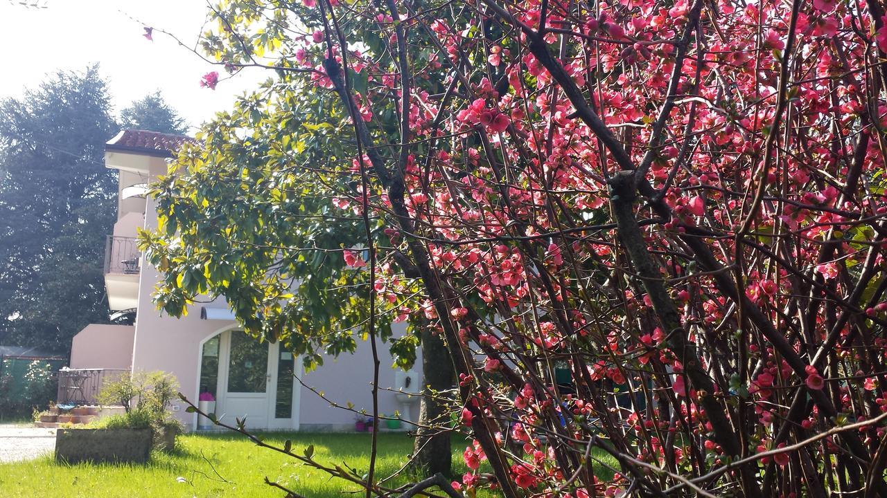 Villa Indipendente A Pochi Passi Dal Lago ซานเฟลีเช เดล เบนาโก ภายนอก รูปภาพ